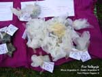 Wicca, Asatru, Feria Pagana, Pagan Fair, Venta de Pentaculos, Book of Shadows, Libros de Las Sombras, Remeras paganas, remeras wicca, runas, tarot, Mjollnirs, martillos de thor, Dioses, Diosas, Lectura de Cartas, Lectura de Runas, Remeras con motivos paganos, Herramientas mágicas, Mazos de cartas, Runas, libros, velas, sahumerios, piedras