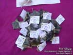 Wicca, Asatru, Feria Pagana, Pagan Fair, Venta de Pentaculos, Book of Shadows, Libros de Las Sombras, Remeras paganas, remeras wicca, runas, tarot, Mjollnirs, martillos de thor, Dioses, Diosas, Lectura de Cartas, Lectura de Runas, Remeras con motivos paganos, Herramientas mágicas, Mazos de cartas, Runas, libros, velas, sahumerios, piedras