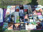 Feria Pagana, Fire Valkyrja, Asatru Argentina, Wicca Argentina, Playon Pagano